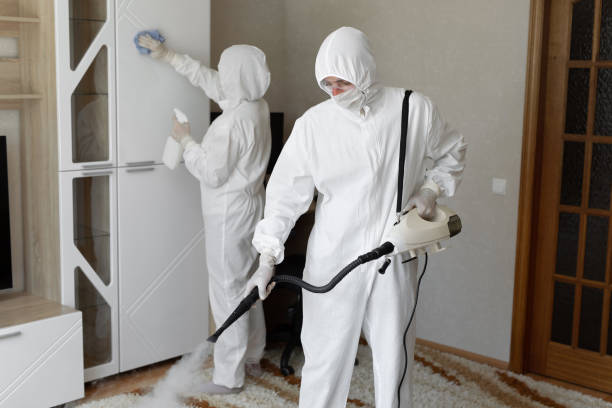 24/7 Emergency Odor Removal experts in Millstadt, IL