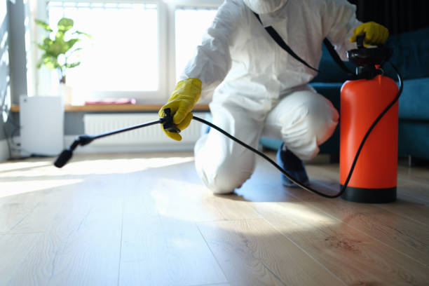 Reliable Odor Removal contractor in Millstadt, IL by Dulley Family Biohazard Services